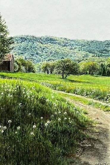 Country road winding through green fields and trees.