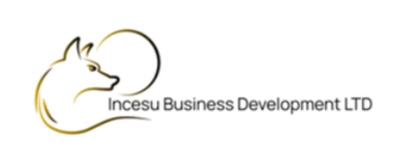 incesu business development's Logo