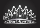 Shelly’s Pageant Express