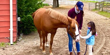 Rescue pony Flower soaking up all the love