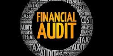 Annual Financial Audit