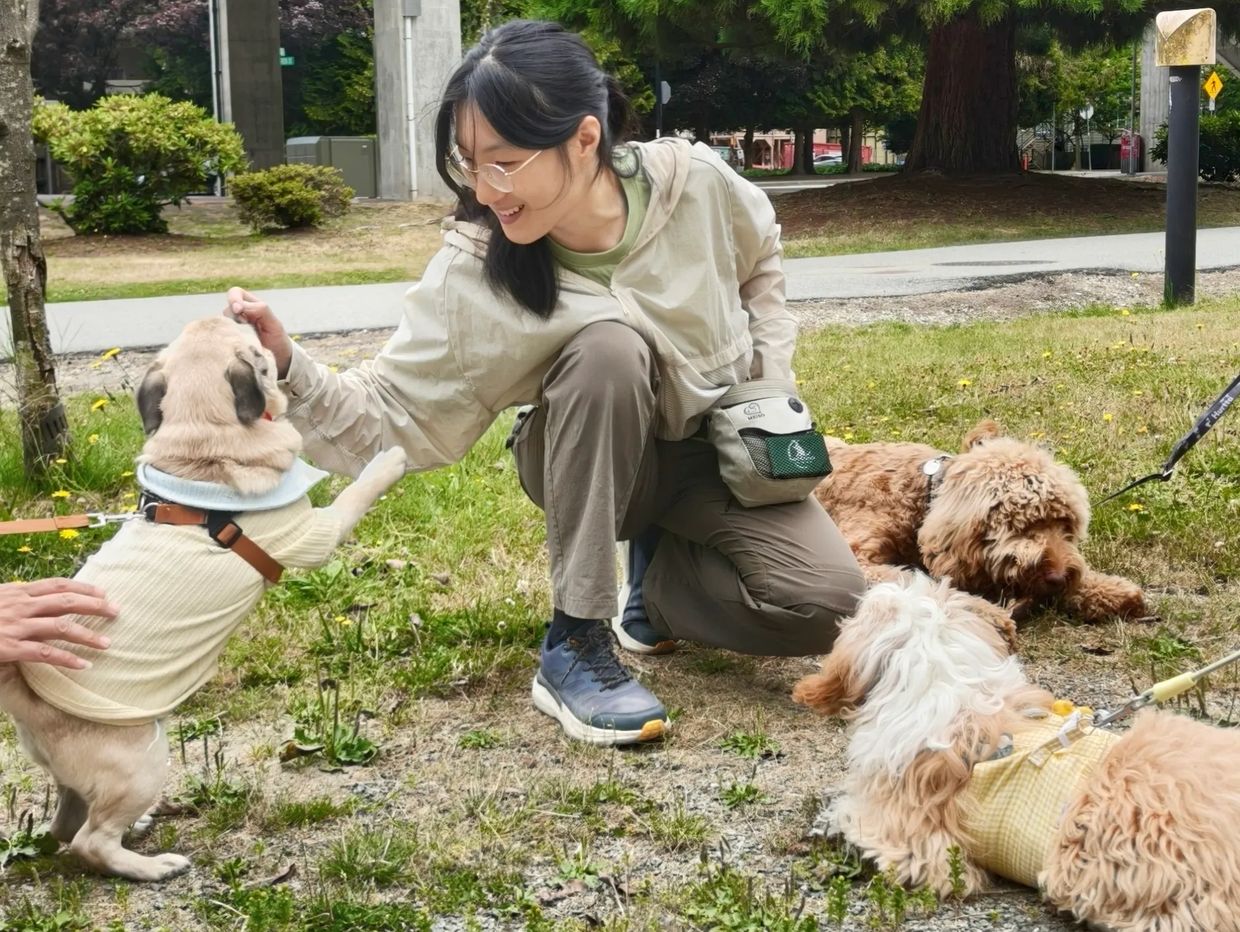 A woman joyfully interacts with three dogs in a park setting.