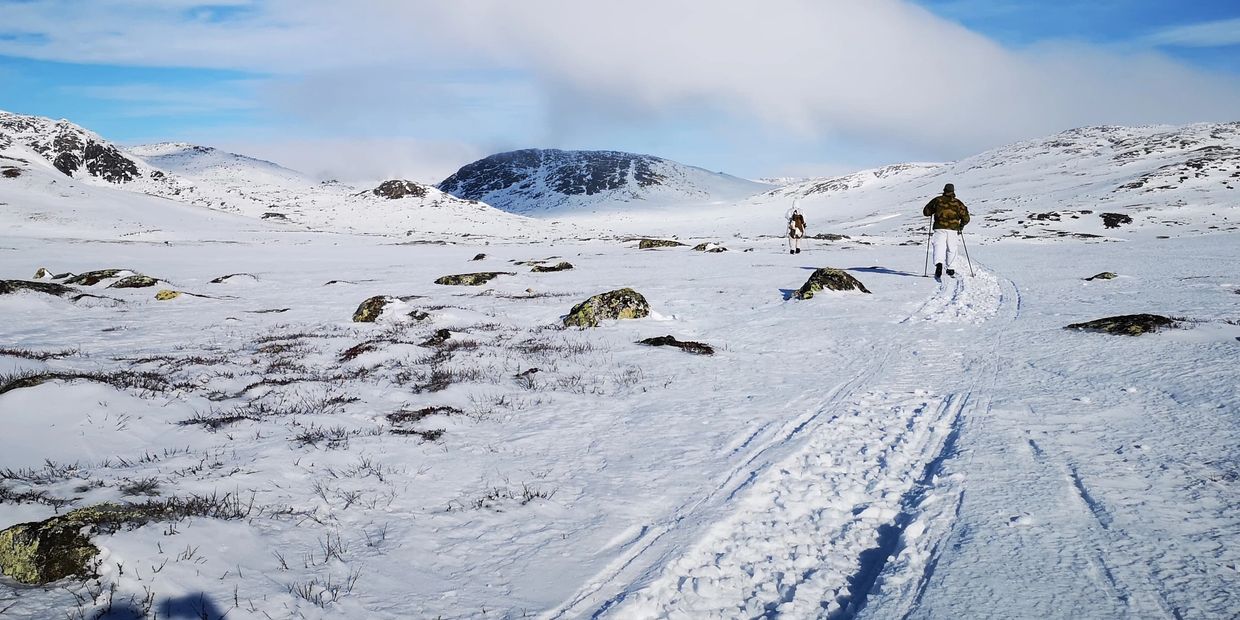 The Hardangervidda Plateau is one of Norway’s and Europe’s most wondrous open spaces, encompassing n
