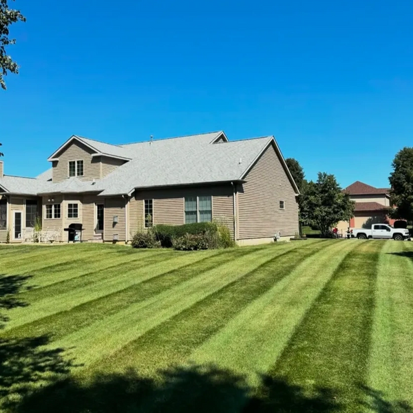 Goat Mowing landscaping pest control arborist Champaign Illinois