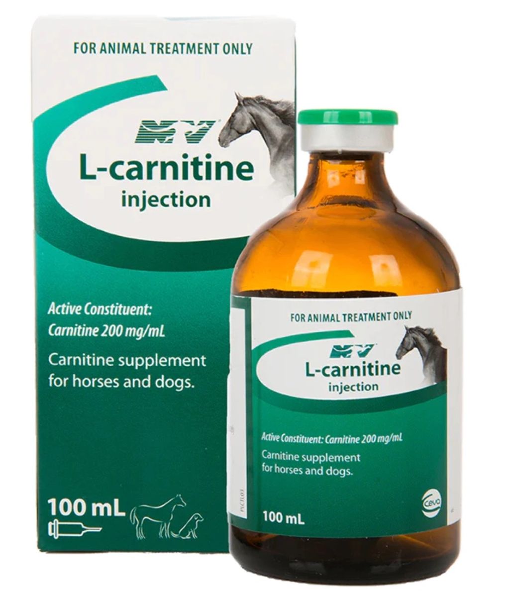 l carnitine vial Burn Bundle | MICC & L-Carnitine Injections for Fat Burn & Energy main image 1