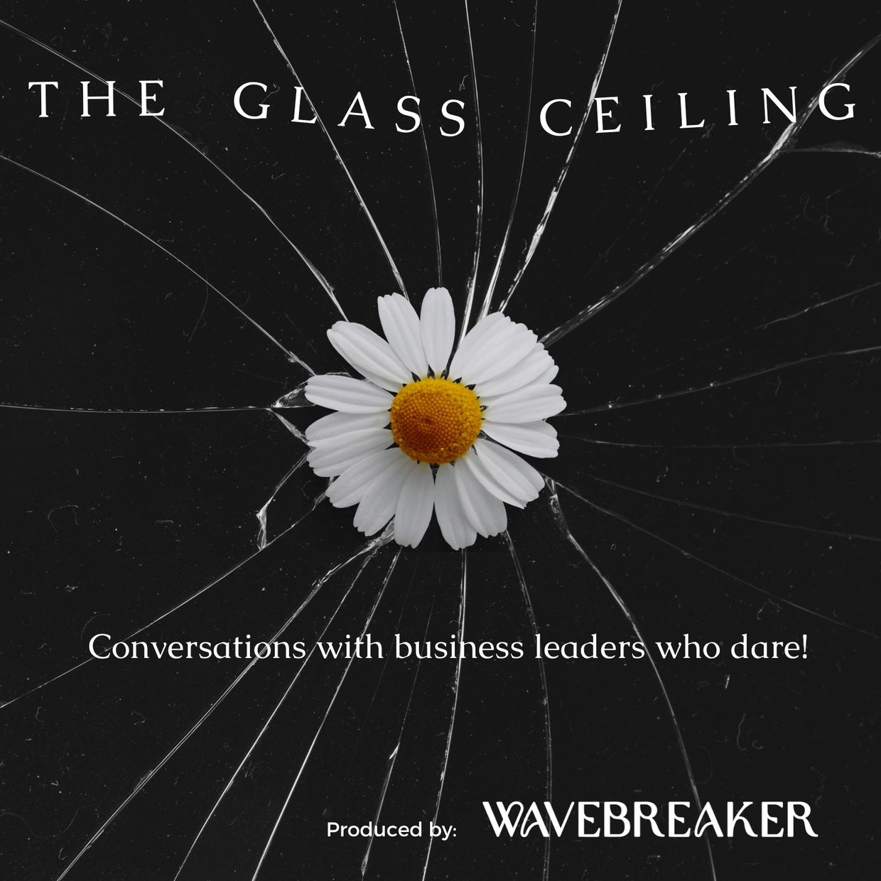Podcast Tile - The Glass Ceiling, entrepreneurs, leadership, business, challenges, podcast