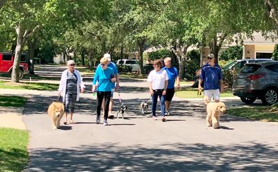 A Group of People Walking Their Dogs