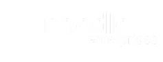 noodle enterprises