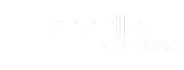 noodle enterprises