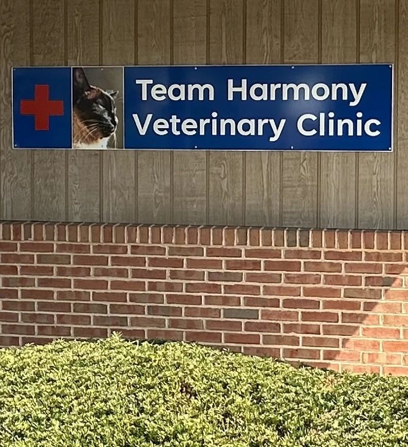 certified-veterinary-acupuncturist-team-harmony-veterinary-clinic