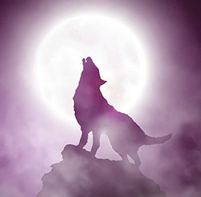 Wolf howling at a full moon.
