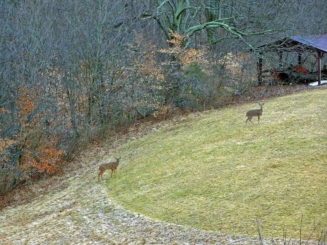 Apartments in Wheelersburg Candlewood Apartments