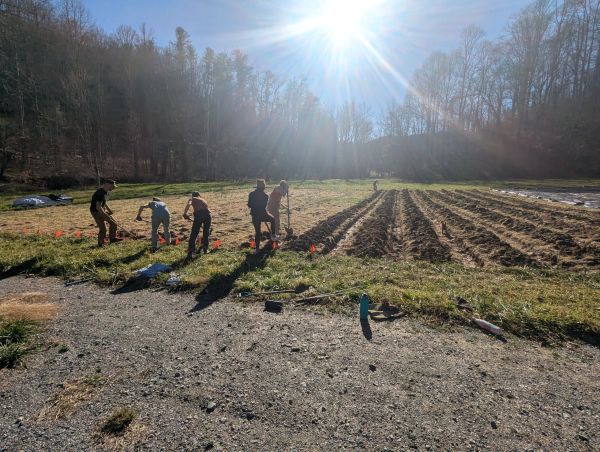 People working on a field in sunlight.