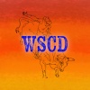 Western Sky
Country Dance