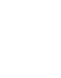 Vert Management