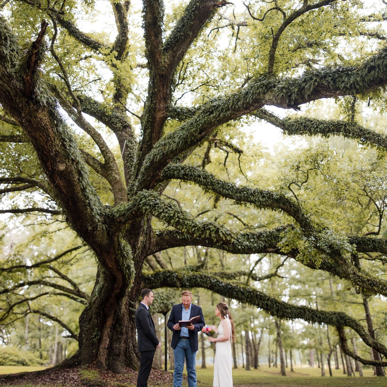 Micro Wedding at Oak Hill Farm A Louisiana Wedding Venue. Photo by Reece Photo and Film