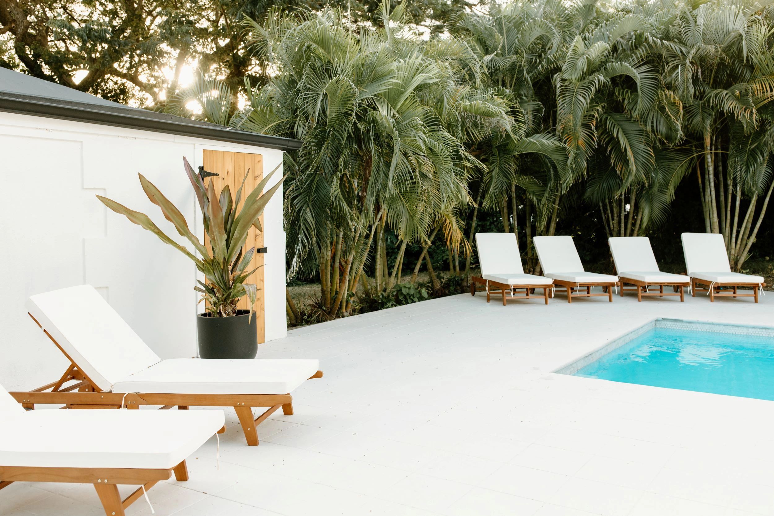 The Cove Hotel St.Croix business image