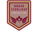 Bravo Starlight Consulting