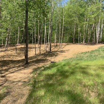 Forestry Mulching High Point, NC
Land Clearing High Point, NC
Right of Way Clearing High Point, NC