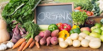 whole food organic nutrition