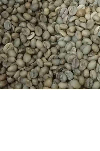 Flores Manggarai Full Wash Grade 1 MA1871.2FW