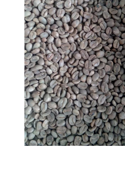 Arabika Flores Tenggara Full Wash Grade 1 TA1871.2FW