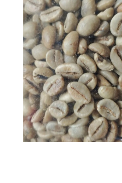 Premium Arabika Kintamani A1762GI