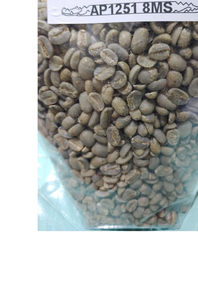 GREEN BEAN ARABIKA JURIA PREMIUM AJ1391.5EN
