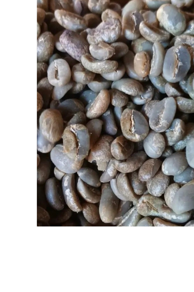 GREEN BEAN ARABIKA JURIA PREMIUM AJ1391.5EN
