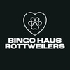 Bingo Haus Rottweilers