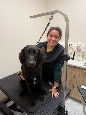 Woman smiling with a black dog on a grooming table.