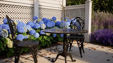 Outdoor patio with black wrought iron table and chairs surrounded by blooming hydrangeas.
