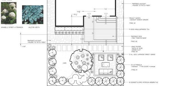 Landscape design plan showing residence, walkways, lawn, pergola, and plant species.