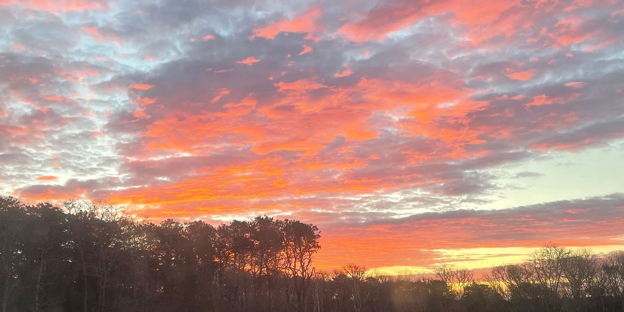 image of sunrise over Resilient Family Farm