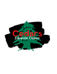 Cedars Lebanese Restaurant