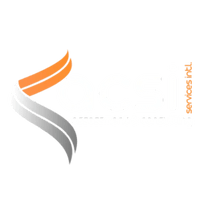 Assessment and Consulting Services Intl