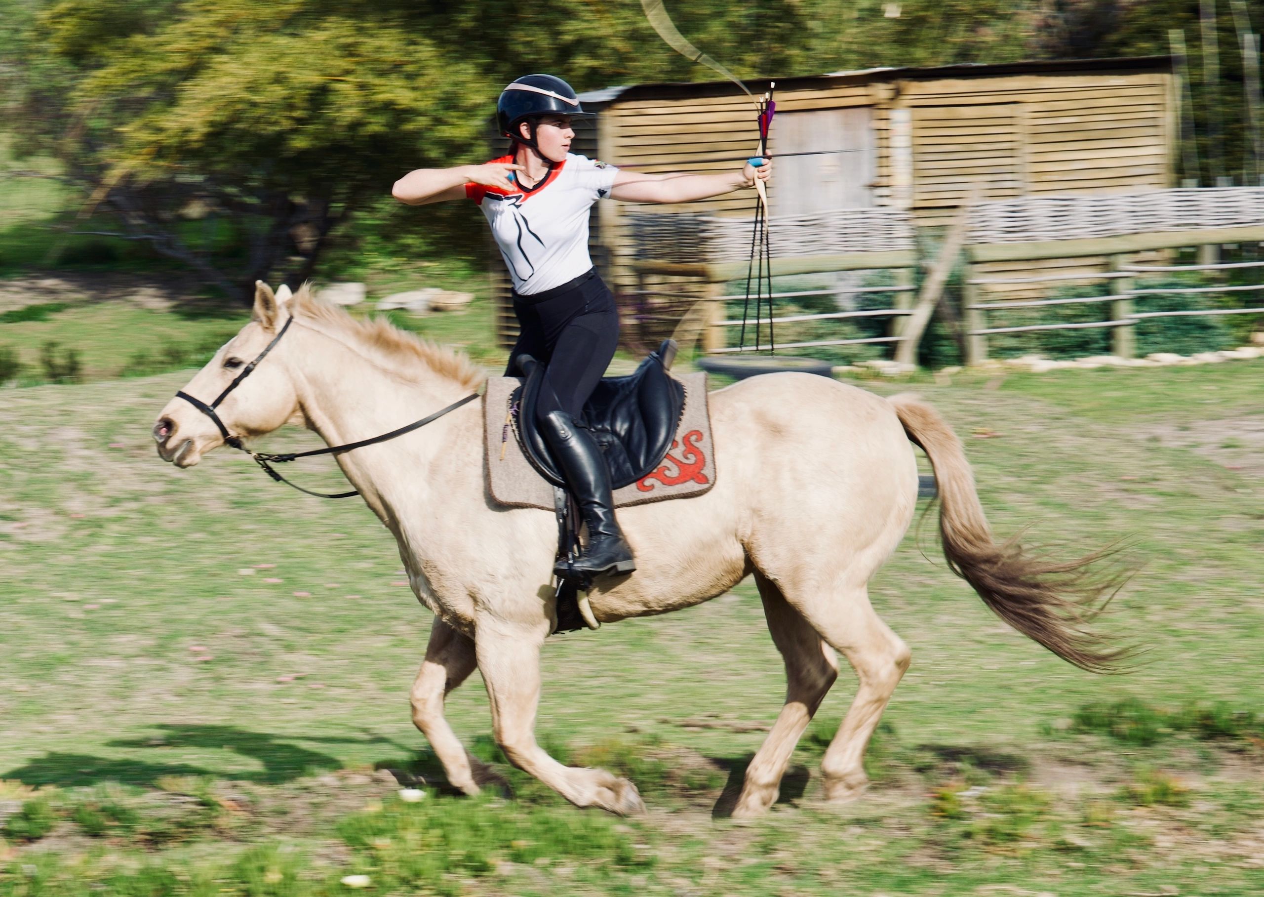 Logo of Freeriders Equestrian Archery featuring a horse and arrows.