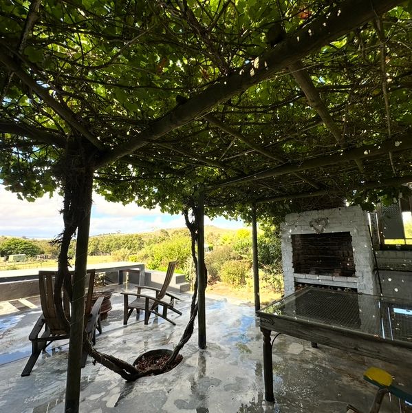 Shaded patio with lawn chairs and barbecue grill under greenery.