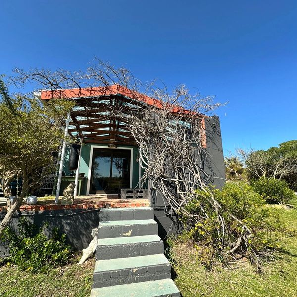 Small porch with overgrown branches and clear blue sky.