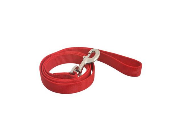 Basic leash for dogs