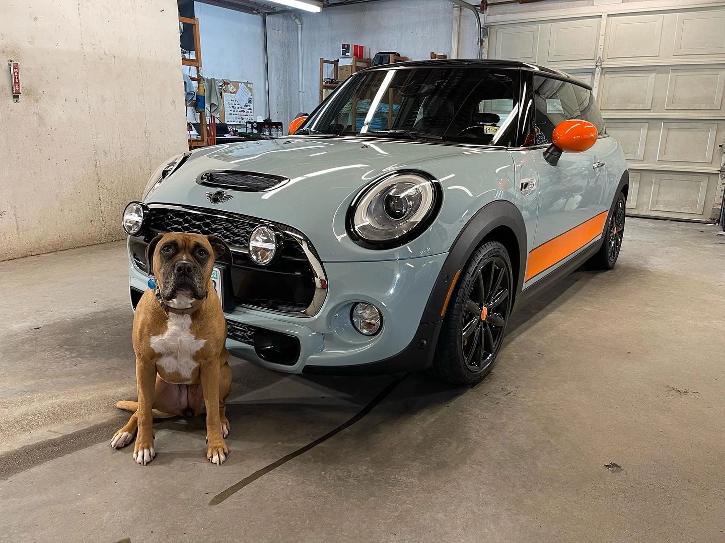 Services HILL CITY AUTO DETAIL