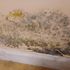 Mold growing from water damage 
#Mold #waterdamage #moldremediation #waterdamagemitigation