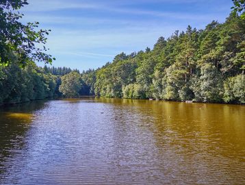 A calm river surrounded by lush green trees under a clear blue sky.