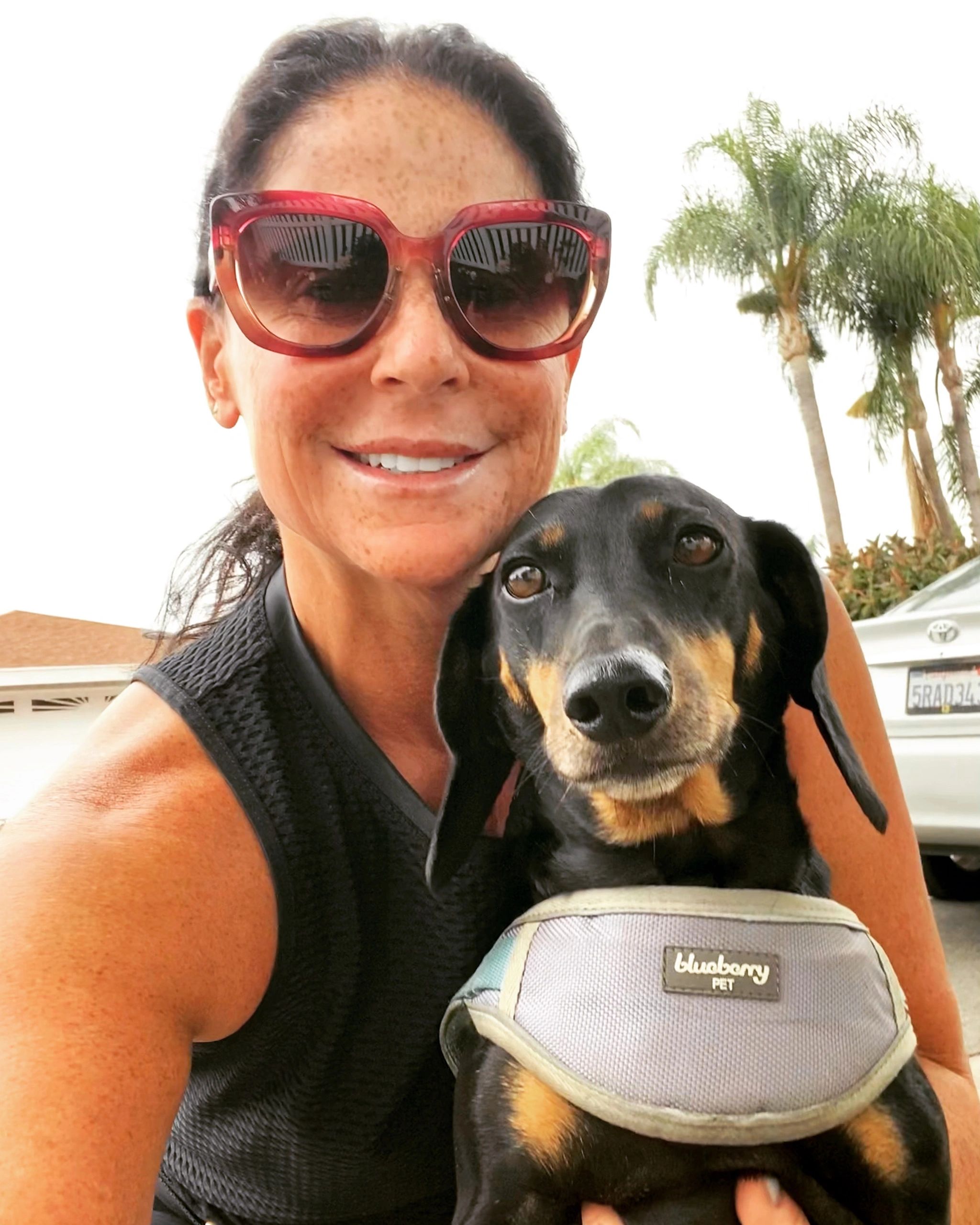 hot diggity dog walking