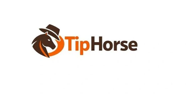Logo design featuring a horse with a hat and the text 'TipHorse'.