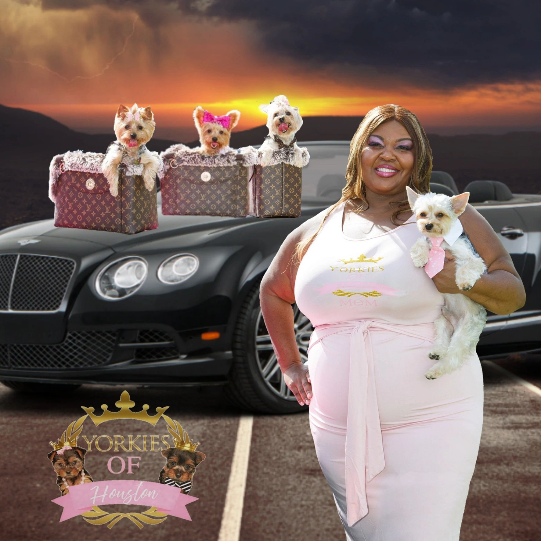 Ekiria Collins, CEO, President, Yorkies of Houston Owner, Business Consultant, Marketing, speaker