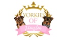 Yorkies of Houston