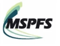 MSP fFnancial Services, Inc.