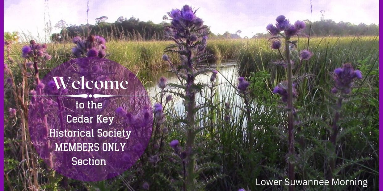 A banner showcasing a beautiful view with purple flowers