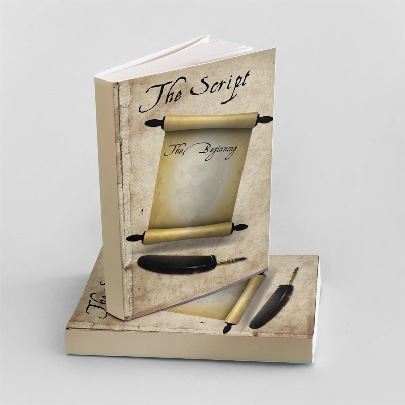 The Script: The Beginning